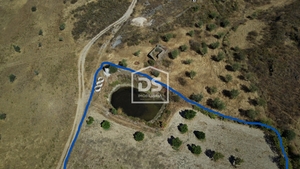 Terreno Rstico T0 - Perais, Vila Velha de Rdo, Castelo Branco - Miniatura: 2/24