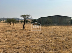Terreno Rstico T0 - Perais, Vila Velha de Rdo, Castelo Branco - Miniatura: 3/24
