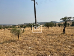 Terreno Rstico T0 - Perais, Vila Velha de Rdo, Castelo Branco - Miniatura: 5/24