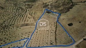 Terreno Rstico T0 - Perais, Vila Velha de Rdo, Castelo Branco - Miniatura: 6/24