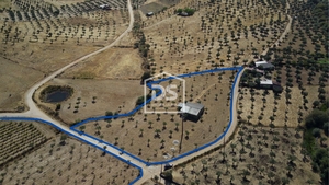 Terreno Rstico T0 - Perais, Vila Velha de Rdo, Castelo Branco - Miniatura: 7/24