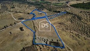 Terreno Rstico T0 - Perais, Vila Velha de Rdo, Castelo Branco - Miniatura: 8/24