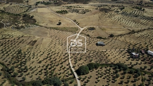 Terreno Rstico T0 - Perais, Vila Velha de Rdo, Castelo Branco - Miniatura: 9/24