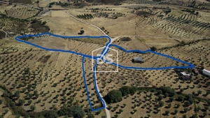 Terreno Rstico T0 - Perais, Vila Velha de Rdo, Castelo Branco - Miniatura: 10/24