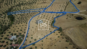 Terreno Rstico T0 - Perais, Vila Velha de Rdo, Castelo Branco - Miniatura: 11/24