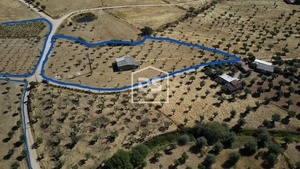 Terreno Rstico T0 - Perais, Vila Velha de Rdo, Castelo Branco - Miniatura: 14/24