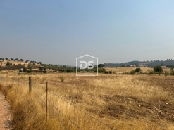 Terreno Rstico T0 - Perais, Vila Velha de Rdo, Castelo Branco - Miniatura: 15/24