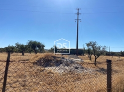 Terreno Rstico T0 - Perais, Vila Velha de Rdo, Castelo Branco - Miniatura: 16/24