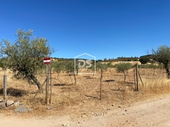 Terreno Rstico T0 - Perais, Vila Velha de Rdo, Castelo Branco - Miniatura: 17/24