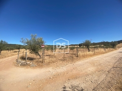 Terreno Rstico T0 - Perais, Vila Velha de Rdo, Castelo Branco - Miniatura: 18/24