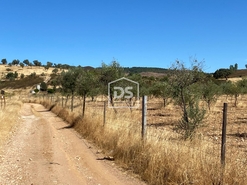 Terreno Rstico T0 - Perais, Vila Velha de Rdo, Castelo Branco - Miniatura: 19/24