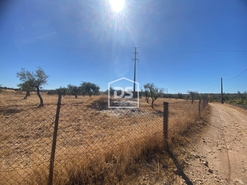 Terreno Rstico T0 - Perais, Vila Velha de Rdo, Castelo Branco - Miniatura: 20/24
