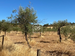 Terreno Rstico T0 - Perais, Vila Velha de Rdo, Castelo Branco - Miniatura: 21/24