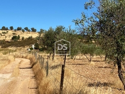 Terreno Rstico T0 - Perais, Vila Velha de Rdo, Castelo Branco - Miniatura: 22/24