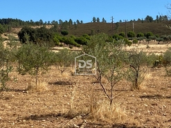 Terreno Rstico T0 - Perais, Vila Velha de Rdo, Castelo Branco - Miniatura: 23/24