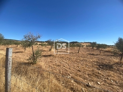 Terreno Rstico T0 - Perais, Vila Velha de Rdo, Castelo Branco - Miniatura: 24/24