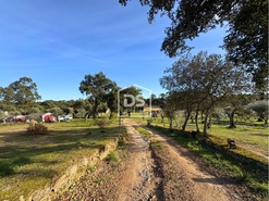 Quinta T3 - Escalos de Cima, Castelo Branco, Castelo Branco - Miniatura: 1/24