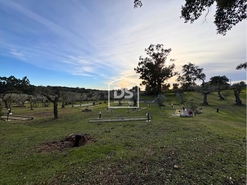 Quinta T3 - Escalos de Cima, Castelo Branco, Castelo Branco - Miniatura: 4/24