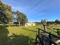 Quinta T3 - Escalos de Cima, Castelo Branco, Castelo Branco - Miniatura: 6/24