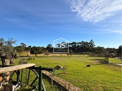 Quinta T3 - Escalos de Cima, Castelo Branco, Castelo Branco - Miniatura: 7/24