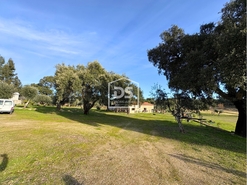 Quinta T3 - Escalos de Cima, Castelo Branco, Castelo Branco - Miniatura: 8/24