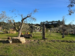 Quinta T3 - Escalos de Cima, Castelo Branco, Castelo Branco - Miniatura: 10/24