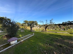 Quinta T3 - Escalos de Cima, Castelo Branco, Castelo Branco - Miniatura: 11/24