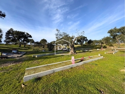 Quinta T3 - Escalos de Cima, Castelo Branco, Castelo Branco - Miniatura: 12/24