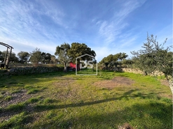 Quinta T3 - Escalos de Cima, Castelo Branco, Castelo Branco - Miniatura: 15/24