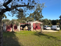 Quinta T3 - Escalos de Cima, Castelo Branco, Castelo Branco - Miniatura: 17/24