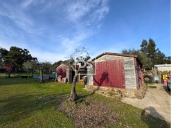 Quinta T3 - Escalos de Cima, Castelo Branco, Castelo Branco - Miniatura: 20/24