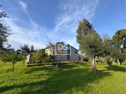 Quinta T3 - Escalos de Cima, Castelo Branco, Castelo Branco - Miniatura: 22/24