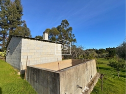 Quinta T3 - Escalos de Cima, Castelo Branco, Castelo Branco - Miniatura: 23/24