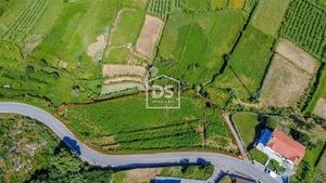 Terreno Urbano T0 - Longos Vales, Mono, Viana do Castelo - Miniatura: 3/7