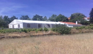 Quinta - Orjais, Covilh�, Castelo Branco - Miniatura: 7/73