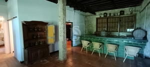 Quinta - Orjais, Covilh�, Castelo Branco - Miniatura: 45/73
