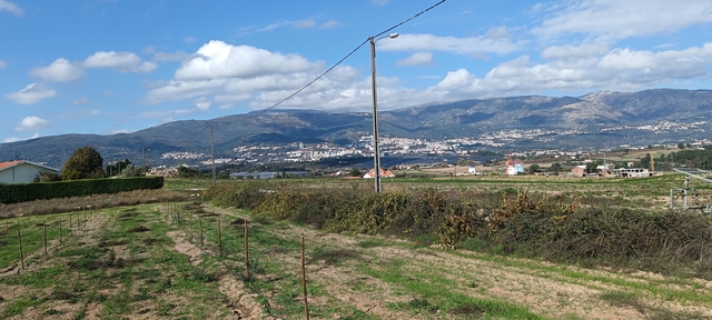 Terreno R�stico - Ferro, Covilh�, Castelo Branco - Imagem grande