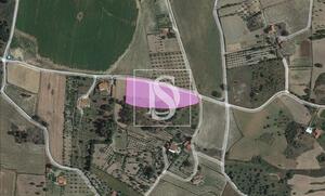 Terreno R�stico - Ferro, Covilh�, Castelo Branco - Miniatura: 3/11
