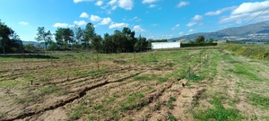 Terreno R�stico - Ferro, Covilh�, Castelo Branco - Miniatura: 8/11