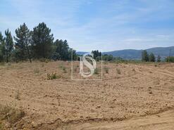 Terreno R�stico - Ferro, Covilh�, Castelo Branco - Miniatura: 2/9