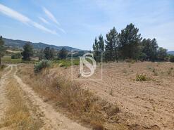 Terreno R�stico - Ferro, Covilh�, Castelo Branco - Miniatura: 3/9