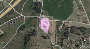 Terreno R�stico - Ferro, Covilh�, Castelo Branco - Miniatura: 9/9