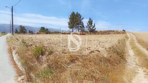 Terreno R�stico - Ferro, Covilh�, Castelo Branco - Miniatura: 4/9