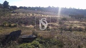 Terreno R�stico - S�o Jo�o da Pesqueira, S�o Jo�o da Pesqueira, Viseu - Miniatura: 17/22