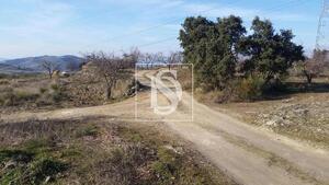 Terreno R�stico - S�o Jo�o da Pesqueira, S�o Jo�o da Pesqueira, Viseu - Miniatura: 19/22
