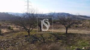 Terreno R�stico - S�o Jo�o da Pesqueira, S�o Jo�o da Pesqueira, Viseu - Miniatura: 22/22