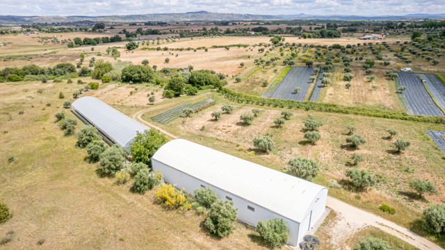 Quinta - Ladoeiro, Idanha-a-Nova, Castelo Branco - Imagem grande