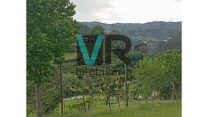 Moradia T2 - Cabril, Montalegre, Vila Real - Miniatura: 2/32