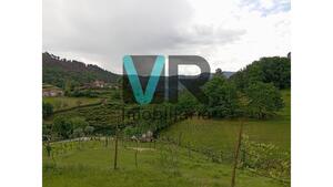 Moradia T2 - Cabril, Montalegre, Vila Real - Miniatura: 17/32