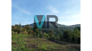 Quinta T3 - Ruives, Vieira do Minho, Braga - Miniatura: 6/14